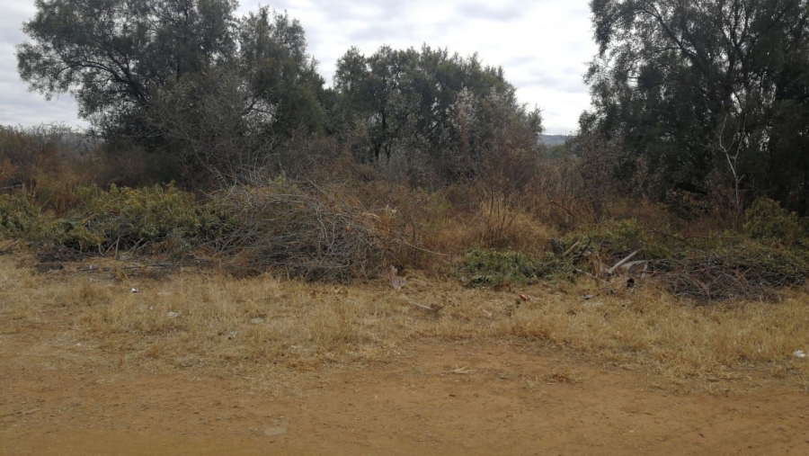 0 Bedroom Property for Sale in Zeerust North West